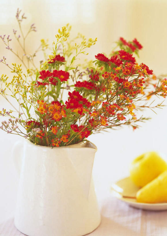 无人,竖图,俯视,室外,白天,快乐,幸福,桌子,芒果,花瓶,水果,许多,朦胧,模糊,新鲜,盛开,陶瓷,生食,食品,果实,玛格丽特,陶瓷制品,花蕾,雏菊,花,花瓣,花朵,鲜花,食物,黄色,花苞,花蕊,菊花,活力,有机食品,绿色食品,希望,坚强,和平,离别,延命菊,幸福花,春菊,马兰头花,蜡菊,暗恋,纯情,单恋,麦秆菊,天真,望果,蜜望,檬果,闷果,漭果,杧果,庵波罗果,彩图,高角度拍摄,愉快