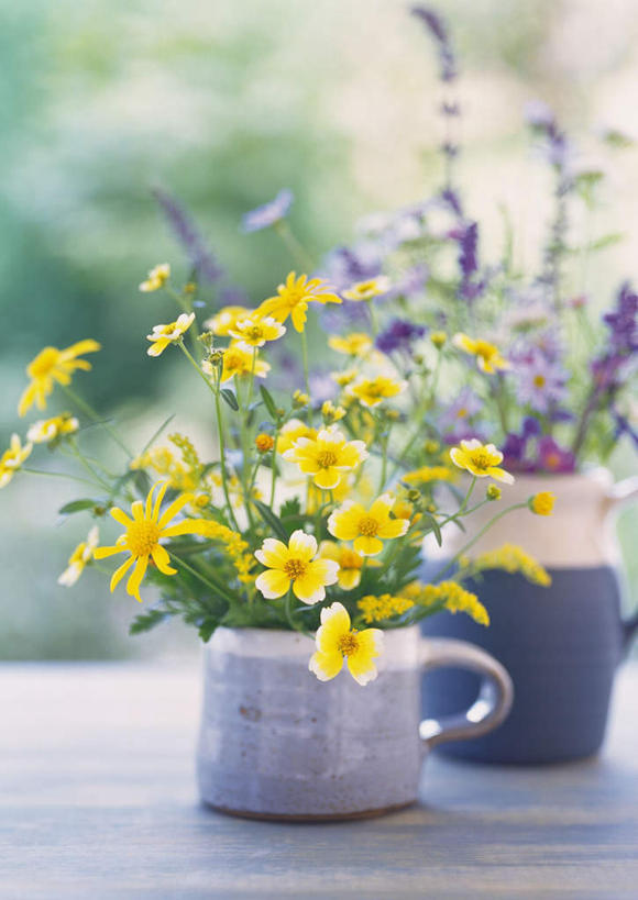 无人,竖图,室外,特写,白天,正面,快乐,幸福,桌子,花瓶,叶子,许多,朦胧,模糊,盛开,陶瓷,绿叶,玛格丽特,陶瓷制品,花蕾,雏菊,花,花瓣,花朵,鲜花,绿色,花苞,花蕊,嫩叶,菊花,活力,希望,坚强,和平,离别,延命菊,幸福花,春菊,马兰头花,蜡菊,暗恋,纯情,单恋,麦秆菊,天真,叶,叶片,彩图,愉快