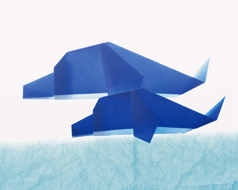 无人,横图,室内,特写,白天,侧面,海浪,海洋,鲸鱼,静物,两条,阴影,艺术,反射,影子,折纸,纸艺,手工艺品,浪花,文化,两个,蓝色,海水,工艺品,鲸,高雅,海景,工艺折纸,自信心,品位,大海,风浪,海,海水的波动,近岸浪,涌浪,彩图