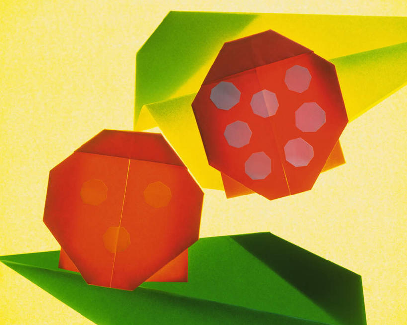 无人,横图,室内,特写,白天,正面,桌面,瓢虫,静物,叶子,阴影,黄色背景,艺术,反射,昆虫,影子,折纸,纸艺,斑点,手工艺品,绿叶,文化,两个,红色,绿色,动物,工艺品,嫩叶,摄影,影棚,高雅,益虫,工艺折纸,自信心,品位,叶,叶片,七星瓢虫,花大姐,彩图,影棚拍摄,拍摄