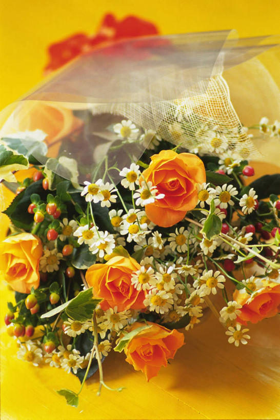 无人,竖图,俯视,室内,特写,白天,爱情,幸福,纯洁,热情,桌面,玫瑰,许多,黄色背景,盛开,包装,非洲菊,玫瑰花,浪漫,花蕾,花,花瓣,花朵,鲜花,花束,花苞,花蕊,温暖,温馨,菊花,恩爱,摄影,影棚,和睦,感动,扶郎花,灯盏花,千日菊,尊敬,红果金丝桃,天真,刺玫花,徘徊花,彩图,高角度拍摄,影棚拍摄,拍摄,融洽