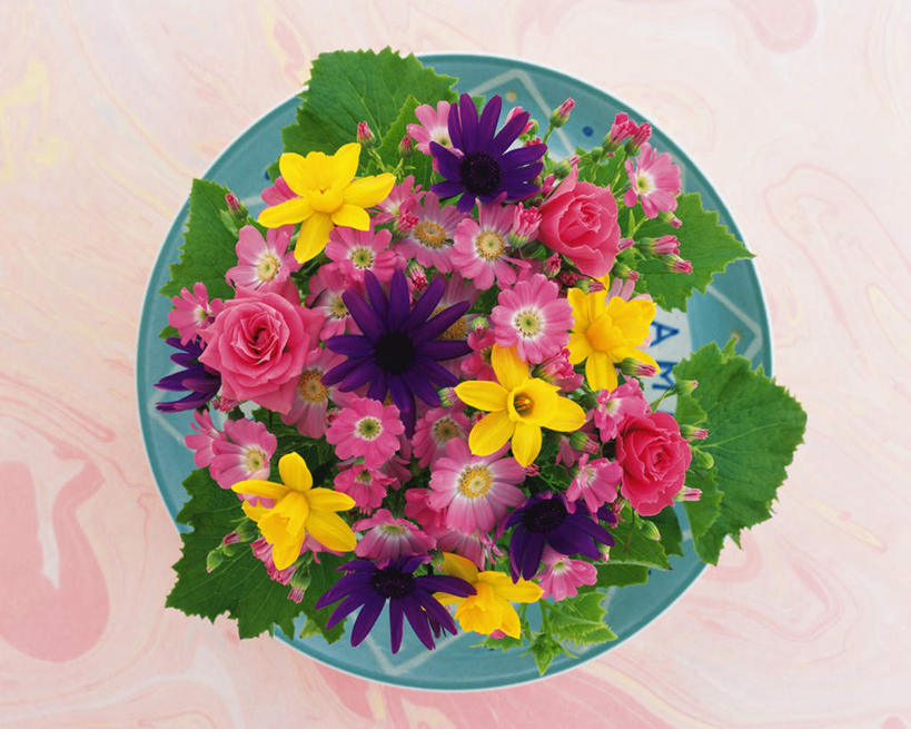 无人,横图,俯视,室内,特写,白天,爱情,幸福,纯洁,热情,桌子,玫瑰,餐具,叶子,许多,阴影,粉色背景,盛开,反射,碟子,盘,影子,绿叶,非洲菊,玫瑰花,浪漫,花蕾,花,花瓣,花朵,鲜花,绿色,盘子,碟,花苞,花蕊,温暖,温馨,嫩叶,菊花,恩爱,摄影,影棚,和睦,感动,扶郎花,灯盏花,千日菊,尊敬,天真,刺玫花,黄水仙,喇叭水仙,徘徊花,洋水仙,叶,叶片,彩图,高角度拍摄,影棚拍摄,拍摄,融洽