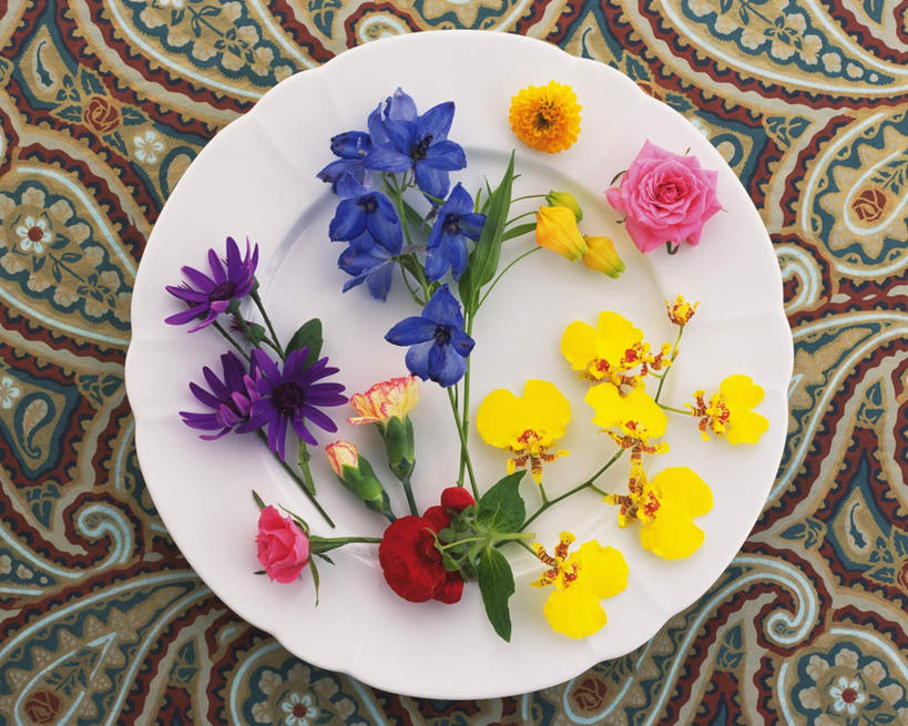 无人,横图,俯视,室内,特写,白天,爱情,幸福,纯洁,热情,桌子,蝴蝶兰,康乃馨,玫瑰,餐具,许多,阴影,盛开,反射,布料,碟子,盘,影子,非洲菊,玫瑰花,浪漫,美丽,祝福,花蕾,布纹,桌布,花,花瓣,花朵,鲜花,盘子,餐巾,碟,台布,花苞,花蕊,温暖,温馨,菊花,恩爱,母爱,清纯,摄影,影棚,和睦,亲情,感动,灯笼花,吊钟花,倒挂金钟,吊钟海棠,扶郎花,灯盏花,千日菊,尊敬,思念,初恋,宽容,热恋,真挚,蝶兰,兰中皇后,热心,天真,刺玫花,徘徊花,麝香石竹,石竹,香石竹,彩图,高角度拍摄,影棚拍摄,拍摄,魅力,融洽