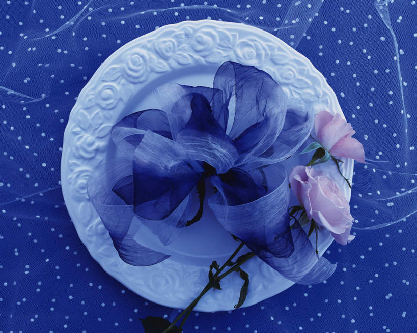 无人,横图,俯视,室内,特写,白天,爱情,幸福,纯洁,热情,桌子,玫瑰,餐具,阴影,装饰,盛开,反射,布料,碟子,盘,影子,玫瑰花,浪漫,花蕾,布纹,装饰品,桌布,花,花瓣,花朵,鲜花,两朵,一个,粉色,蓝色,盘子,餐巾,装饰物,碟,台布,花苞,花蕊,温暖,温馨,恩爱,单个,华丽,修饰,点缀,和睦,丝网,饰物,感动,衬托,美观,雅致,雅观,尊敬,天真,刺玫花,徘徊花,彩图,高角度拍摄,融洽