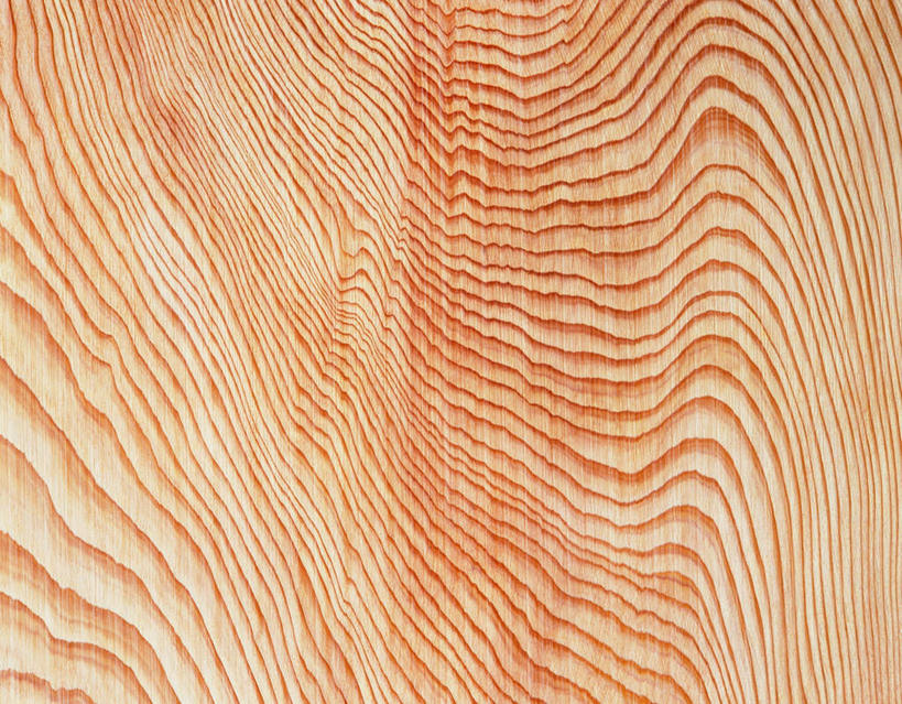 无人,横图,俯视,室内,特写,白天,静物,阴影,花纹,反射,纹路,木板,木材,纹理,影子,灰色,木块,木料,肌理,榉树,大叶榉,红榉树,白榉,大叶榉树,彩图,高角度拍摄