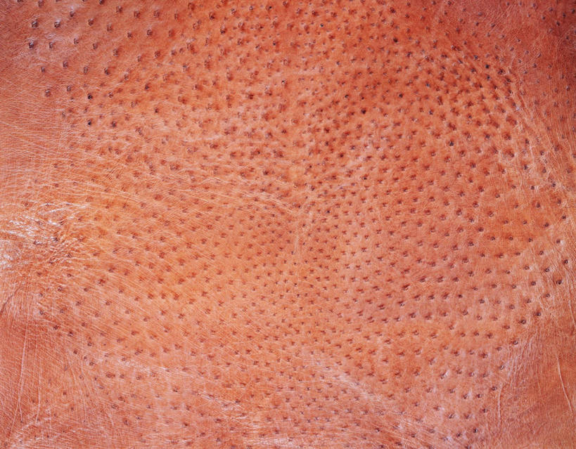 无人,横图,俯视,室内,特写,白天,静物,纺织品,阴影,条纹,反射,纹路,纹理,影子,皮,织物,布纹,纺织,红色,摄影,影棚,鸵鸟皮,彩图,高角度拍摄,影棚拍摄,拍摄