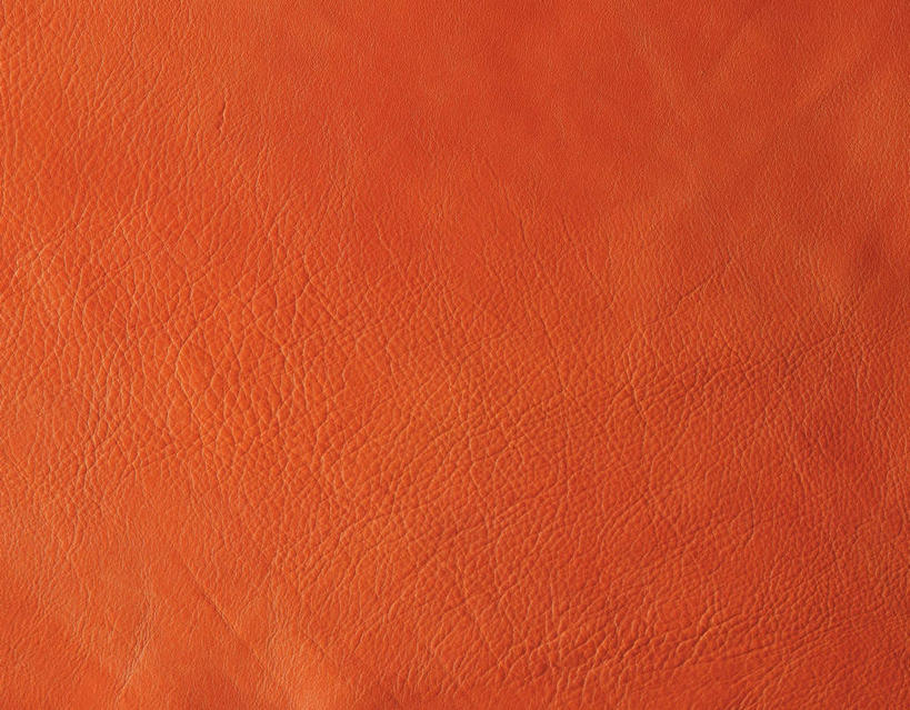 无人,横图,俯视,室内,特写,白天,静物,阴影,反射,纹路,纹理,影子,皮革,红色,摄影,影棚,牛皮,肌理,彩图,高角度拍摄,影棚拍摄,拍摄