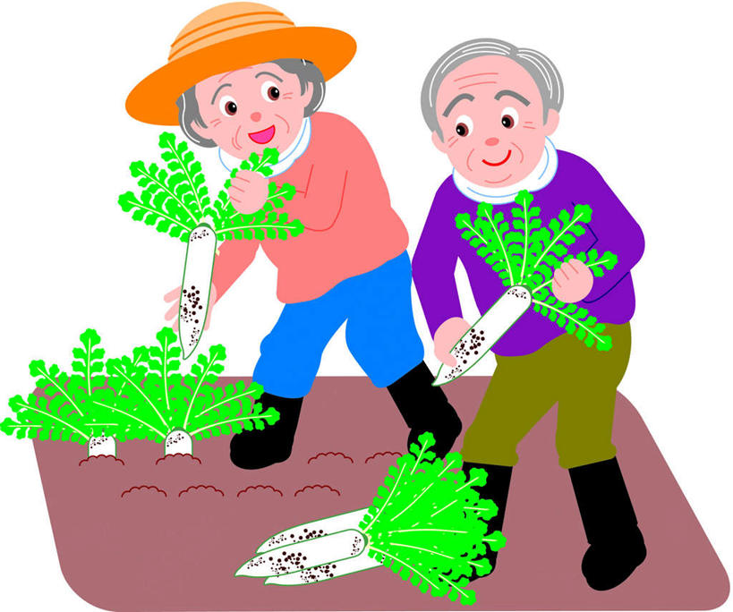 东方人,无人,两个人,夫妻,站,横图,插画,室内,白天,白色背景,正面,爱情,采摘,数码,科技,萝卜,白萝卜,蔬菜,亚洲,许多,握,阴影,服装,新鲜,网络,泥土,食品,高光,几何,计算机图形,浪漫,拿,合成,图画,拿着,休闲装,黄种人,画,食物,衣服,站着,休闲,休闲服,恩爱,握着,恋人,服饰,有机食品,绿色食品,拔,电脑合成图,数码合成图,漫画,写实,具体,具象,老年男性,老年女性,男人,男性,女人,女性,亚洲人,情侣,莱菔,站立,彩图,全身,伴侣