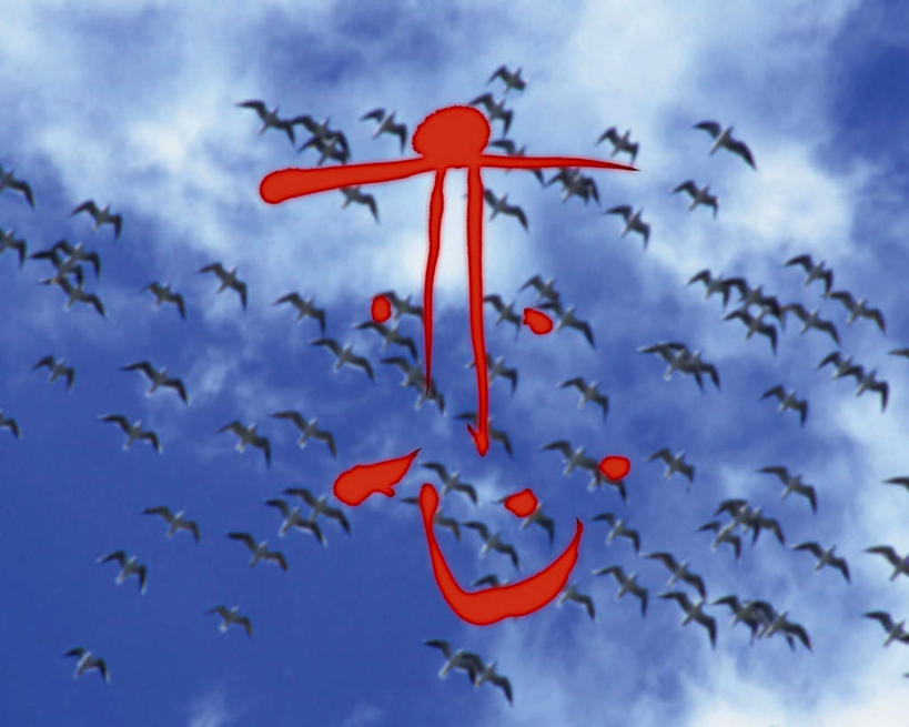 无人,横图,室内,白天,仰视,数码,科技,鸟,一群,许多,飞翔,阴影,艺术,网络,大雁,标志,文字,字符,云,云朵,成群,高光,几何,计算机图形,合成,云彩,文化,标识,蓝色,白云,蓝天,天空,天,汉字,恋爱,晴朗,电脑合成图,数码合成图,高雅,中文,写实,具体,具象,美学,国文,华文,晴空,彩图,低角度拍摄,全身