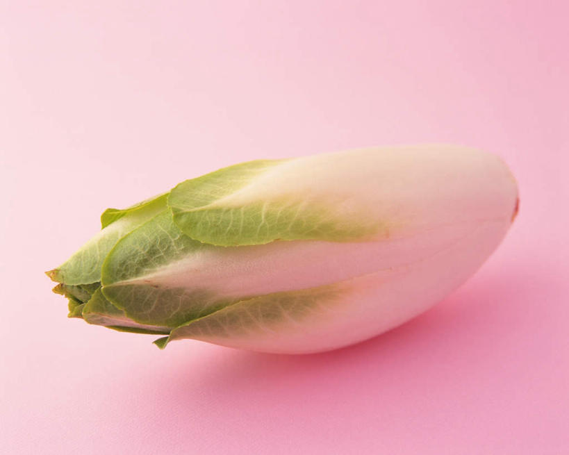 无人,横图,俯视,室内,特写,白天,植物,桌面,桌子,蔬菜,粉色背景,新鲜,木制,菊苣,食品,草药,药草,中药,食物,一个,白色,木制品,摄影,有机食品,绿色食品,影棚,单个,药材,中草药,中药材,本草,彩图,高角度拍摄,影棚拍摄,拍摄