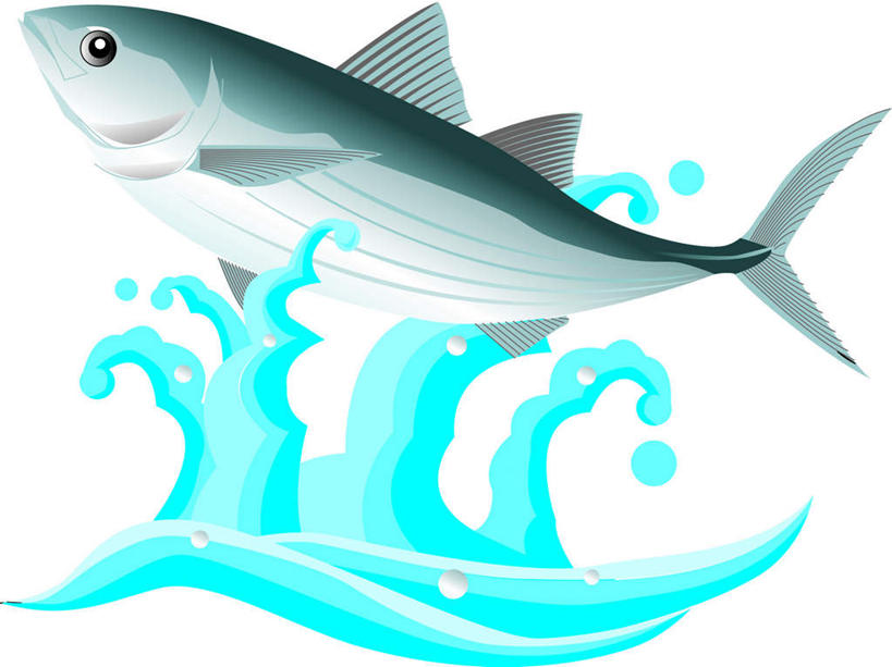 海鲜,无人,横图,插画,室内,白天,白色背景,侧面,数码,科技,水,一条,阴影,网络,液体,水滴,鲣鱼,高光,几何,计算机图形,合成,图画,水产,海洋生物,画,蓝色,电脑合成图,数码合成图,水生动物,海产品,水生物,漫画,海底动物,写实,具体,具象,小金枪鱼,炸弹鱼,柴鱼,鲣节,彩图,全身