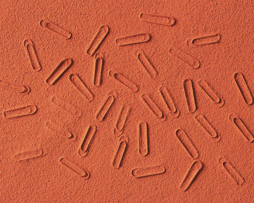 无人,横图,俯视,室内,特写,白天,静物,金属制品,许多,大量,橙色背景,艺术,金属,手工艺品,办公用品,回形针,文化,学习用品,工艺品,摄影,影棚,文具用品,无序,混乱,粘土,高雅,曲别针,手工艺,自信心,品位,彩图,高角度拍摄,影棚拍摄,拍摄