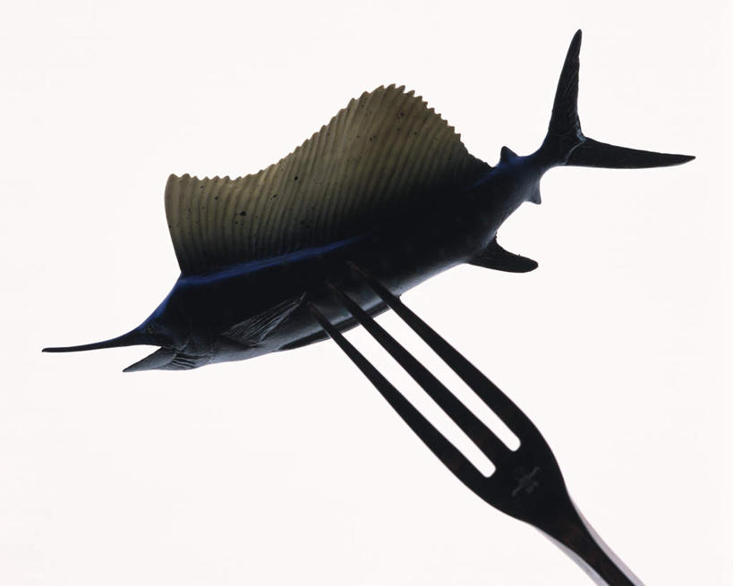 海鲜,无人,横图,室内,特写,白天,白色背景,正面,餐具,一把,一条,朦胧,模糊,鱼,叉子,背光,水产,鱼类,海洋生物,摄影,影棚,水生动物,海产品,水生物,逆光,海底动物,背鳍,进餐用具,烹调用具,彩图,影棚拍摄,拍摄