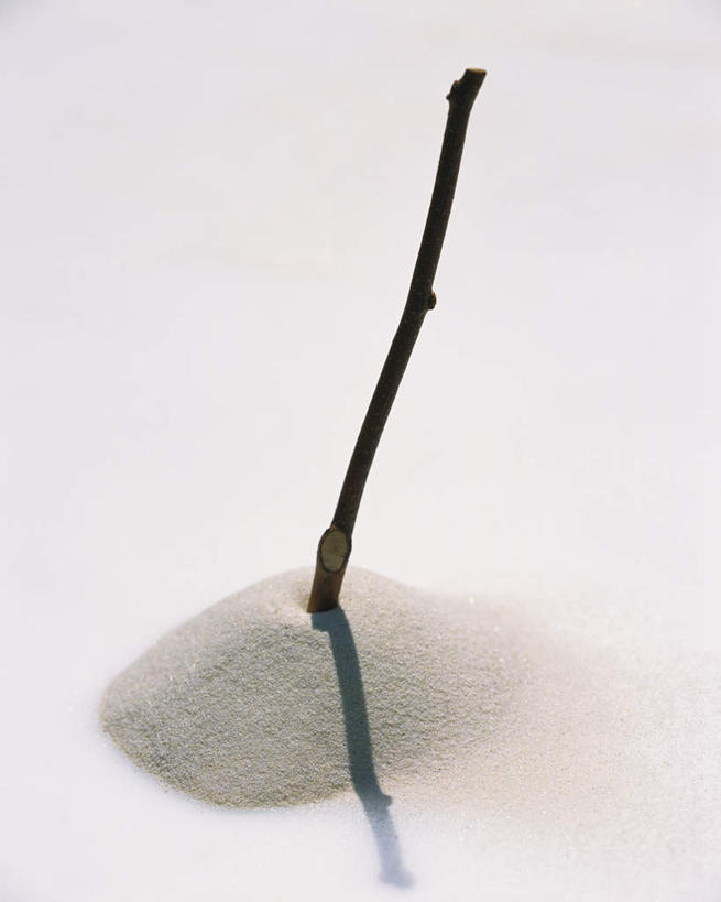 无人,竖图,俯视,室内,特写,白天,白色背景,桌子,一堆,一根,阴影,堆叠,堆积,反射,沙子,影子,枝条,树枝,白色,摄影,影棚,插入,堆,彩图,高角度拍摄,影棚拍摄,拍摄