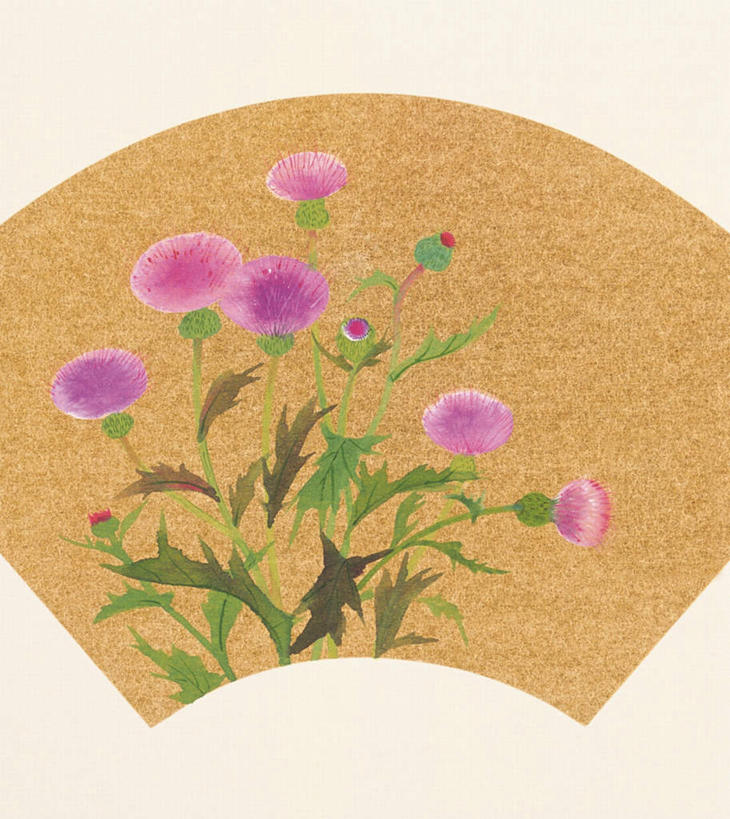 无人,竖图,插画,室内,白天,白色背景,正面,绘画,数码,科技,植物,叶子,许多,阴影,艺术,盛开,网络,绿叶,草药,药草,高光,几何,计算机图形,古典,合成,图画,文化,中药,画,花,花瓣,花朵,花卉,鲜花,粉色,花蕊,品味,嫩叶,蓟,扇形,美术,电脑合成图,数码合成图,高雅,药材,中草药,漫画,中药材,本草,大蓟,写实,具体,具象,美学,刺蓟,山萝卜,叶,叶片,彩图