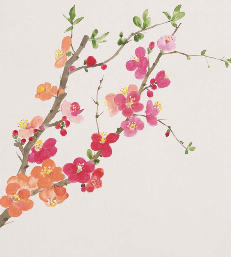 无人,竖图,插画,室内,白天,正面,绘画,数码,科技,植物,叶子,许多,阴影,灰色背景,艺术,盛开,网络,海棠,绿叶,高光,几何,计算机图形,古典,合成,图画,文化,画,花,花瓣,花朵,花卉,鲜花,花蕊,品味,嫩叶,美术,电脑合成图,数码合成图,高雅,漫画,写实,具体,具象,美学,倭海棠,贴梗海棠,铁脚海棠,皱皮木瓜,和园子,日本贴梗海棠,日本木瓜,叶,叶片,彩图