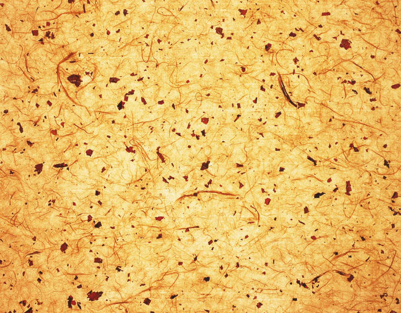 无人,横图,室内,特写,白天,正面,静物,花纹,条纹,日本文化,纹路,纹理,纸,纸张,文化,黄色,摄影,影棚,碎片,肌理,和纸,日本纸,彩图,影棚拍摄,拍摄,传统文化