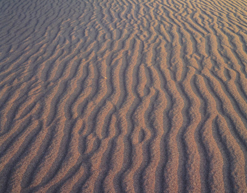 无人,横图,俯视,室外,特写,白天,旅游,度假,美景,沙漠,覆盖,阴影,弯曲,光线,曲线,纹路,波形,纹理,线条,影子,景观,地面,娱乐,阳光,自然,享受,休闲,景色,放松,自然风光,沟壑,大漠,砂漠,彩图,高角度拍摄