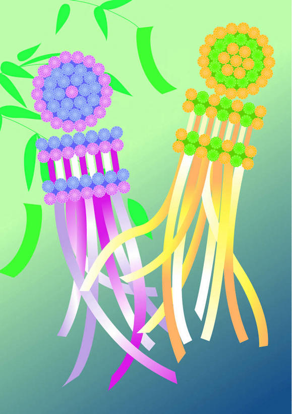 无人,竖图,插画,室内,白天,正面,数码,科技,叶子,日本,亚洲,阴影,节日,七夕,庆祝,装饰,网络,挂饰,绿叶,高光,几何,计算机图形,合成,图画,文化,画,两个,庆典,日式,嫩叶,纪念,华丽,修饰,点缀,电脑合成图,数码合成图,漫画,东亚,七夕节,日本国,写实,具体,具象,衬托,美观,雅致,雅观,叶,叶片,彩图