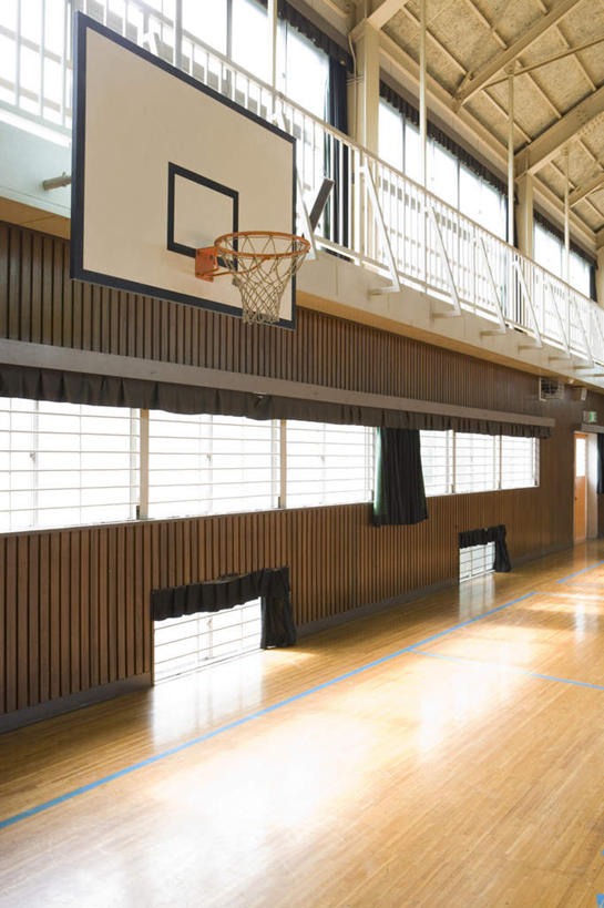 无人,体育馆,运动场,竖图,室内,白天,正面,篮球,窗户,地板,落地窗,静物,阴影,朦胧,模糊,反射,光线,篮筐,篮球架,球篮,影子,篮球装备,篮板,地面,运动器械,体育场,木地板,玻璃窗,健身器械,健身器材,篮球运动,篮球板,运动馆,彩图,运动器材