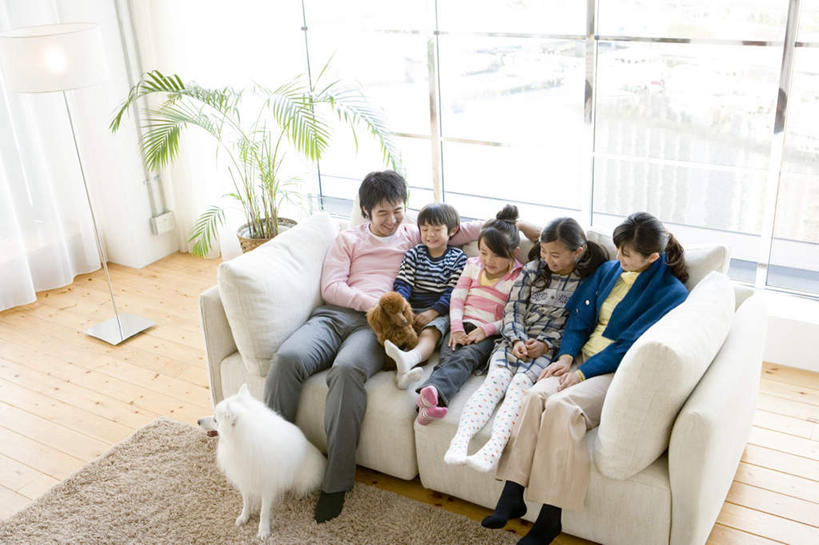 东方人,儿童,家庭,夫妻,母亲,父亲,女儿,儿子,坐,笑,微笑,露齿笑,横图,俯视,室内,白天,爱情,纯洁,植物,地板,宠物,狗,亚洲,服装,盆栽,棕色,盆景,地面,许多人,浪漫,注视,休闲装,黄种人,贵宾犬,木地板,小孩,衣服,绿色,白色,自然,动物,观察,看,两只,一群人,休闲,温暖,温馨,父女,父子,母女,母子,一家人,休闲服,恩爱,父爱,可爱,母爱,童年,童趣,恋人,服饰,生长,成长,观看,和睦,察看,关注,贵妇犬,童真,烂漫,无邪,忠诚,玩具贵宾犬,日本狐狸犬,日本尖嘴犬,日本史必滋,天真,男孩,男人,男性,年轻男性,年轻女性,女孩,女人,女性,亚洲人,孩子,年轻人,夫妇,情侣,犬,坐着,彩图,高角度拍摄,全身,伴侣,融洽,男生,女生