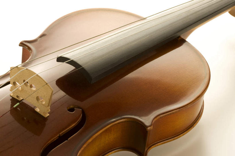 无人,横图,俯视,室内,特写,白天,白色背景,静物,一把,一排,整齐,乐器,弦,弦乐器,小提琴,排列,黄色,白色,摄影,影棚,队列,弓拉弦乐器,弓拉弦鸣乐器,彩图,高角度拍摄,影棚拍摄,拍摄