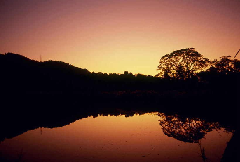 无人,横图,室外,白天,正面,旅游,度假,石头,美景,日落,山,山脉,植物,福冈县,日本,亚洲,阴影,光线,石子,影子,池塘,景观,山峰,水池,晚霞,霞光,落日,山峦,背光,娱乐,树,树木,绿色,倒影,阳光,自然,黄昏,群山,享受,休闲,景色,彩霞,放松,生长,成长,倒映,自然风光,逆光,东亚,福冈,日本国,九州本岛,九州,九州岛,九州地方,夕照,反照,薄暮,石块,岩石,夕阳,彩图,傍晚,新宫町,糟屋郡,斜阳