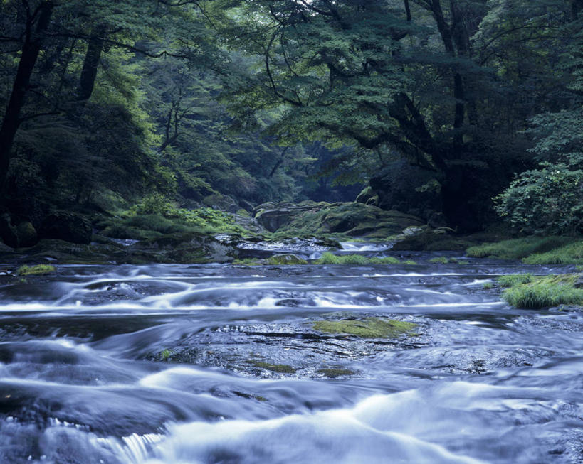 无人,横图,室外,白天,正面,旅游,度假,河流,石头,美景,瀑布,水,日本,亚洲,飞溅,朦胧,模糊,溅,石子,液体,河水,景观,水滴,水流,青苔,苔藓,娱乐,水珠,小溪,自然,溪水,享受,休闲,景色,放松,喷洒,自然风光,东亚,日本国,九州本岛,九州,九州岛,九州地方,熊本,熊本县,菊池溪谷,跌水,石块,岩石,彩图,菊池市