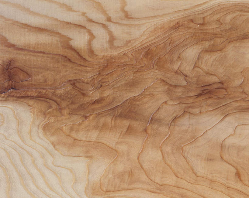 无人,横图,俯视,室内,特写,白天,植物,静物,纹路,木板,木材,纹理,树,树木,灰色,木料,肌理,榉树,大叶榉,红榉树,白榉,大叶榉树,彩图,高角度拍摄