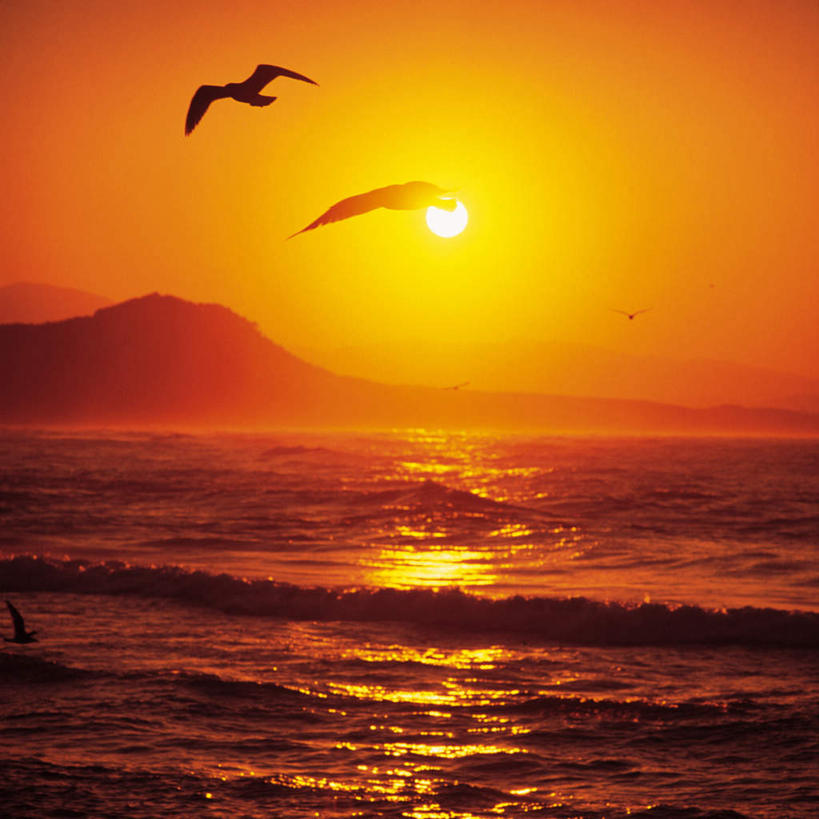 无人,方图,全景,室外,白天,仰视,海浪,海洋,美景,日落,山,山脉,天际线,海鸥,三只,飞翔,大雁,景观,浪花,山峰,水平线,晚霞,霞光,辽阔,海平线,山峦,天空,自然,海水,黄昏,群山,天,广阔,景色,彩霞,一望无际,自然风光,海景,无边无际,一马平川,大海,风浪,海,海水的波动,近岸浪,涌浪,夕阳,彩图,低角度拍摄,全身,水天相接,水天一线