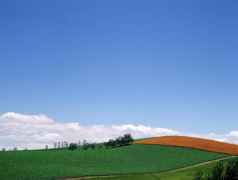 无人,横图,室外,白天,正面,旅游,度假,草地,草坪,美景,树林,植物,道路,路,北海道,日本,亚洲,许多,景观,云,云朵,小路,交通,云彩,娱乐,草,树,树木,蓝色,绿色,白云,蓝天,天空,自然,天,享受,休闲,景色,放松,乡间小路,生长,晴朗,成长,自然风光,东亚,日本国,北海道地方,北海道岛,晴空,彩图