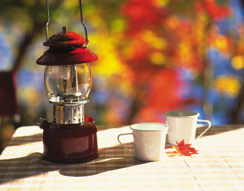 无人,横图,俯视,室外,特写,白天,桌子,杯子,叶子,照明,许多,阴影,朦胧,模糊,光线,布料,瓷器,影子,灯光,枫叶,枯叶,落叶,咖啡杯,陶瓷制品,布纹,煤油灯,灯,桌布,两个,黄色,红色,阳光,餐巾,灯具,台布,枫树叶,照亮,照明设备,油灯,瓷杯,叶,叶片,彩图,高角度拍摄