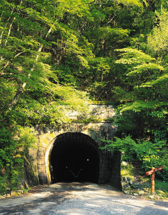 无人,竖图,室外,白天,正面,旅游,度假,美景,山,树林,植物,道路,路,指示牌,公路,静冈县,日本,亚洲,许多,隧道,标志,文字,景观,山洞,山峰,交通,山峦,娱乐,标识,树,树木,绿色,自然,享受,休闲,景色,放松,生长,成长,地道,自然风光,东亚,本州,本州岛,日本国,中部地方,静冈,马路,彩图