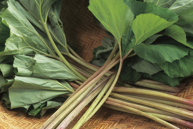 无人,横图,俯视,室内,特写,白天,桌面,桌子,蔬菜,叶子,一堆,阴影,堆叠,堆积,新鲜,反射,木制,篮子,影子,食品,绿叶,食物,一个,木制品,嫩叶,有机食品,绿色食品,单个,堆,公正,款冬花,冬花,款冬,款冻,菟奚,叶,叶片,彩图,高角度拍摄