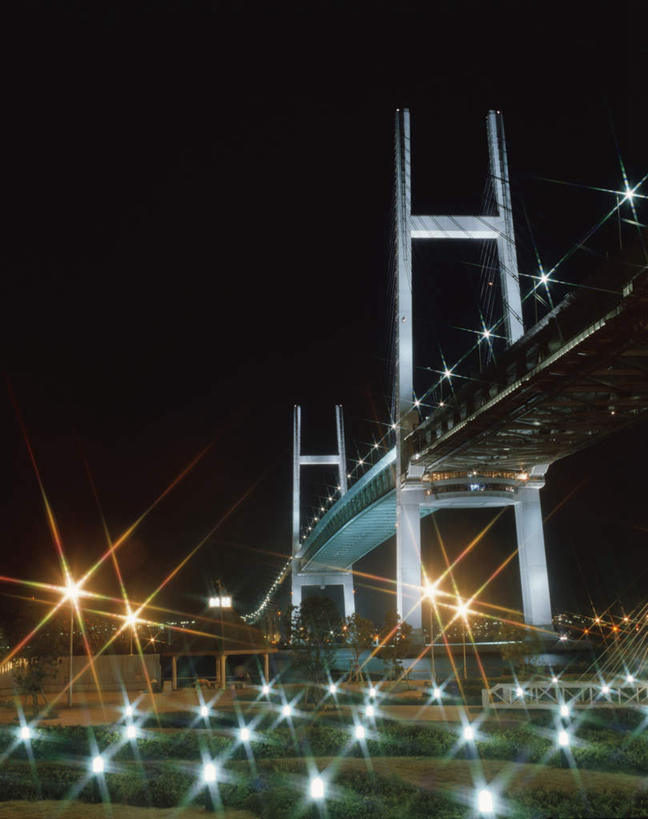 无人,竖图,室外,夜晚,仰视,旅游,度假,标志建筑,大桥,地标,建筑,立交桥,路灯,桥梁,夜景,照明,神奈川,日本,亚洲,高架,斜拉桥,桥,灯光,横滨,横滨市,神奈川县,娱乐,横滨海湾大桥,建设,灯,享受,休闲,旅游胜地,放松,照亮,照明设备,东亚,本州,首府,海湾大桥,关东地方,本州岛,日本国,彩图,低角度拍摄
