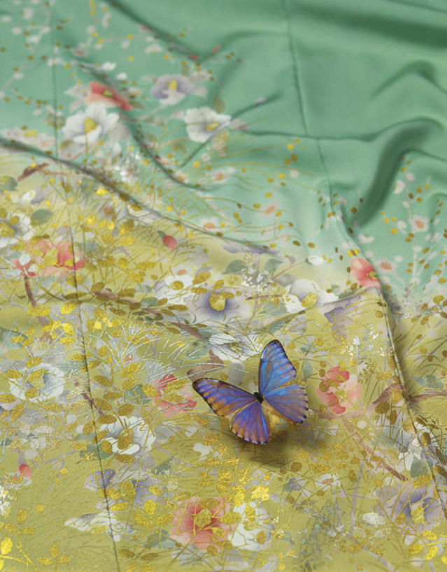 无人,竖图,俯视,室内,特写,白天,蝴蝶,纺织品,许多,花纹,盛开,褶皱,昆虫,布,图案,花蕾,停留,花,花瓣,花朵,鲜花,一个,一只,动物,花苞,花蕊,诱惑,摄影,影棚,单个,吸引,益虫,迷恋,彩图,高角度拍摄,影棚拍摄,拍摄