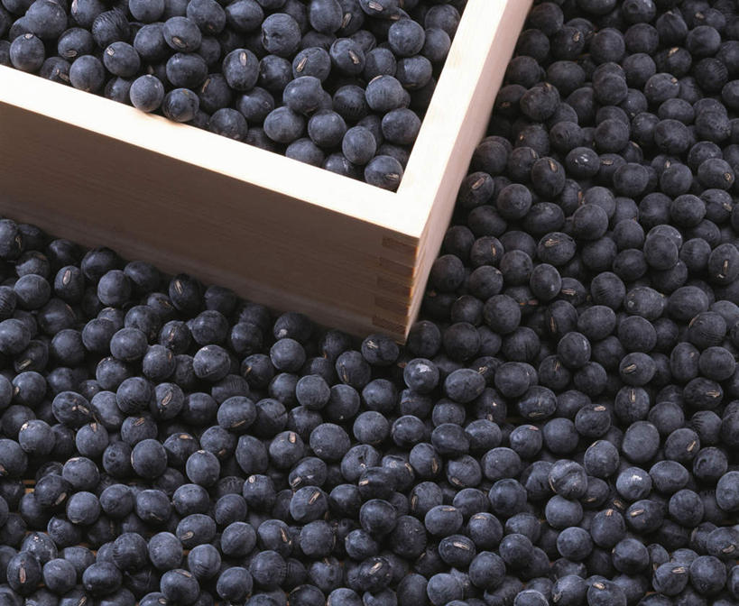 无人,横图,俯视,室内,特写,白天,植物,豆,蔬菜,许多,阴影,新鲜,反射,木制,木盒,影子,豆类,豆子,黑豆,食品,食物,黑色,木制品,容器,有机食品,绿色食品,储藏,储存,豆科,乌豆,乌大豆,彩图,高角度拍摄,贮存