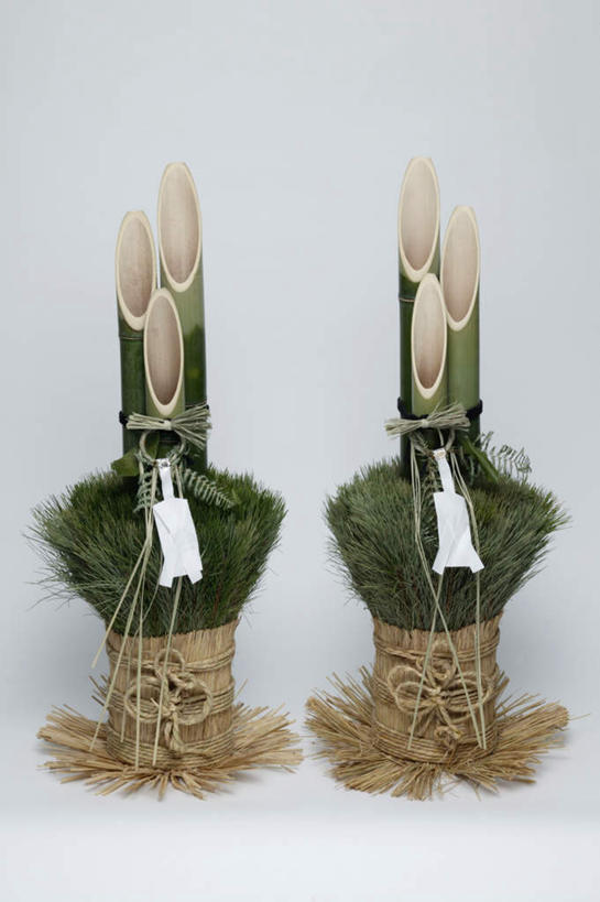 无人,竖图,俯视,室内,特写,白天,白色背景,静物,一排,整齐,装饰,排列,两个,绿色,摄影,影棚,华丽,修饰,点缀,队列,门松,衬托,美观,雅致,雅观,长寿,彩图,高角度拍摄,影棚拍摄,拍摄