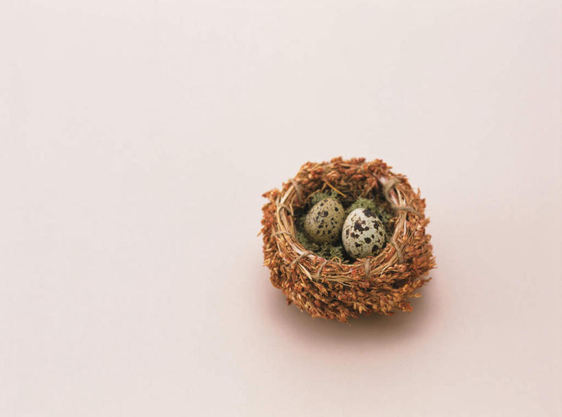 无人,横图,俯视,室内,特写,白天,白色背景,静物,鸟巢,蛋,鹌鹑蛋,两个,摄影,影棚,卵,鹌鹑卵,鹑鸟蛋,彩图,高角度拍摄,影棚拍摄,拍摄
