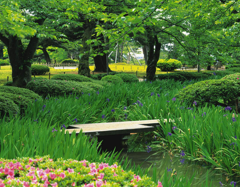 无人,横图,室外,白天,正面,旅游,度假,草地,草坪,花海,花圃,河流,美景,水,植物,叶子,日本,亚洲,盛开,木板,河水,景观,水流,桥,木桥,花蕾,娱乐,栈桥,草,花,花瓣,花朵,花卉,鲜花,树,树木,绿色,自然,花丛,花束,花田,花苞,花蕊,享受,休闲,景色,放松,生长,成长,人行桥,木板桥,自然风光,东亚,本州,本州岛,日本国,金沢,金沢市,石川,石川县,中部地方,县厅,彩图