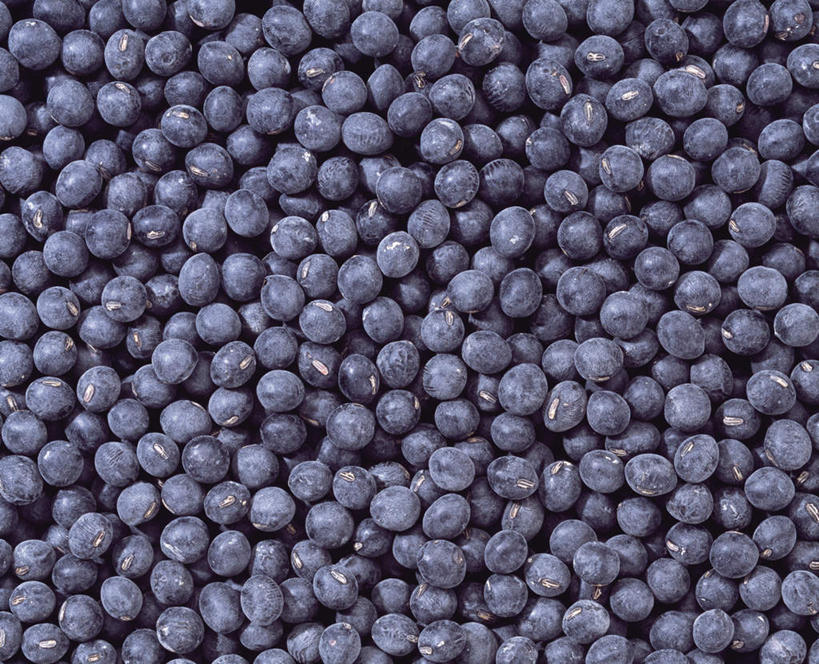 无人,横图,俯视,室内,特写,白天,植物,豆,蔬菜,一堆,许多,堆叠,堆积,新鲜,豆类,豆子,黑豆,食品,食物,有机食品,绿色食品,堆,豆科,乌豆,乌大豆,彩图,高角度拍摄