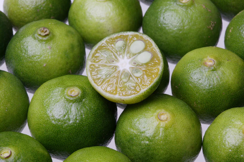 无人,横图,俯视,室内,特写,白天,白色背景,柑橘,水果,一排,许多,切开,新鲜,整齐,生食,食品,果实,半个,食物,排列,切,一半,摄影,有机食品,绿色食品,影棚,队列,剖面,切面,酸橙,橘子,桔子,橙子,橙,彩图,高角度拍摄,影棚拍摄,拍摄