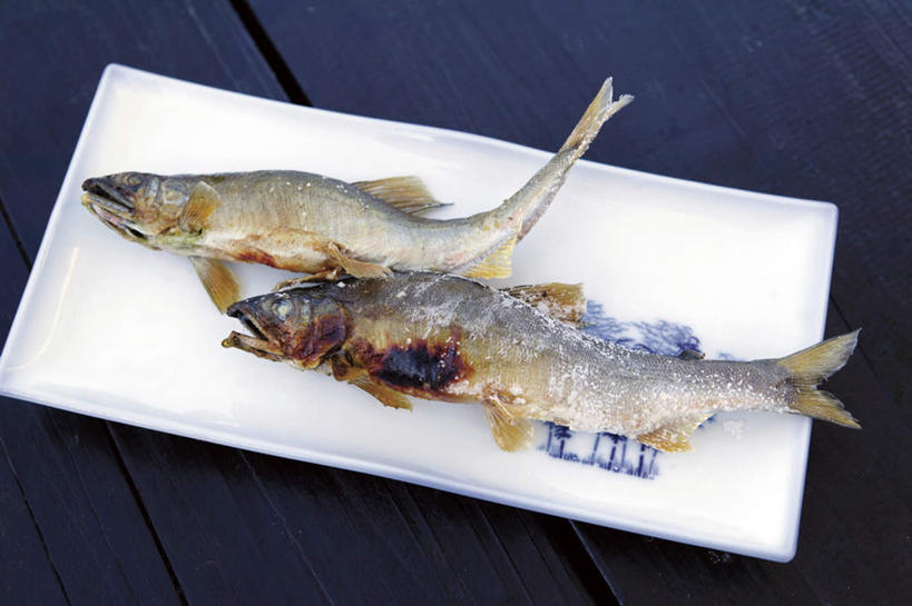 无人,餐厅,横图,俯视,室内,特写,白天,白色背景,烹饪,餐桌,桌子,餐具,两条,鱼,碟子,盘,日本料理,料理,食品,香鱼,菜肴,美食,鱼类,海洋生物,食物,盘子,碟,日式料理,日式,摄影,佳肴,影棚,餐台,水生动物,水生物,海底动物,瓜鱼,香油鱼,彩图,高角度拍摄,影棚拍摄,拍摄,餐馆,饭店,饭馆