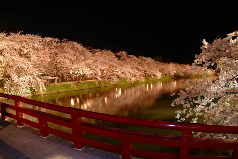 无人,栏杆,横图,室外,夜晚,正面,旅游,度假,河流,美景,水,植物,道路,路,夜景,公路,日本,亚洲,一排,整齐,盛开,河水,景观,水流,围栏,交通,花蕾,娱乐,护栏,花,花瓣,花朵,鲜花,树,树木,排列,绿色,黑色,天空,自然,天,花苞,花蕊,享受,休闲,景色,放松,生长,成长,队列,自然风光,东亚,本州,本州岛,日本国,青森,青森县,东北地方,弘前,弘前市,马路,彩图