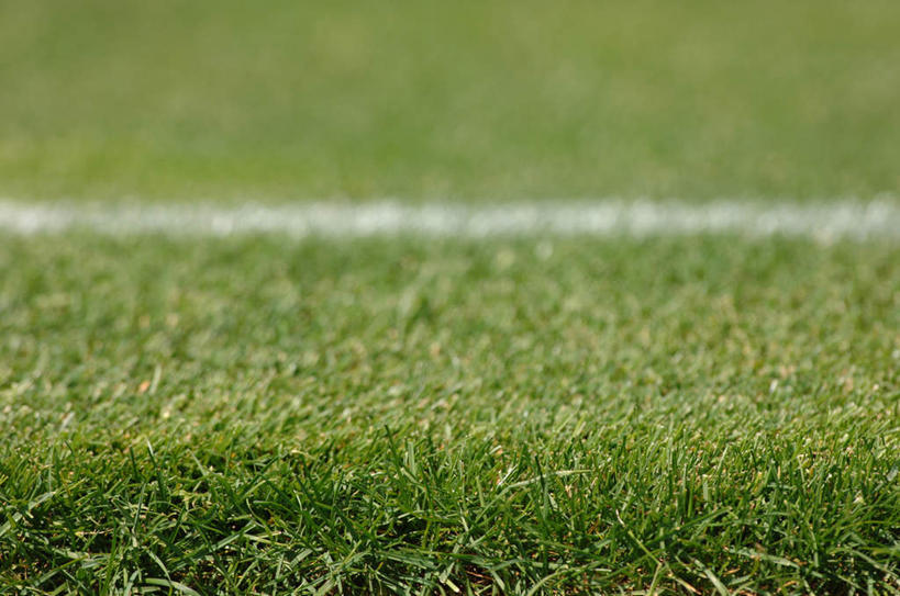 无人,体育馆,运动场,横图,俯视,室外,白天,锻炼,运动,草地,草坪,植物,朦胧,模糊,分界线,体育场,草,绿色,白色,标线,运动馆,体育,彩图,高角度拍摄,健身