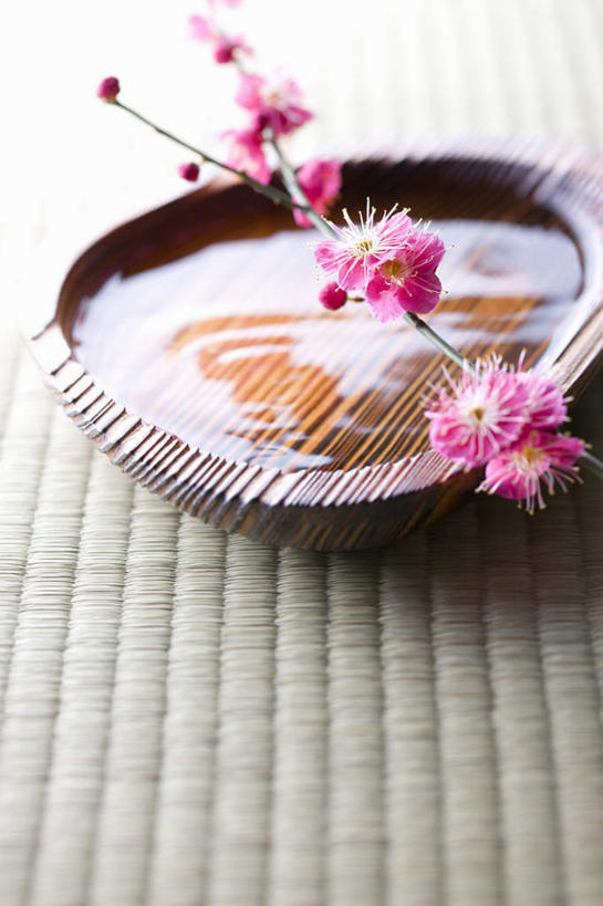 无人,竖图,俯视,室内,特写,白天,水,桌面,桌子,许多,波纹,盛开,透明,木制,木盆,盆,液体,气泡,水滴,梅花,涟漪,漩涡,花蕾,水泡,水珠,花,花瓣,花朵,鲜花,红色,水纹,泡泡,木制品,容器,花苞,花蕊,摄影,影棚,储藏,圆弧,高雅,坚强,储存,梅,彩图,高角度拍摄,影棚拍摄,拍摄,贮存