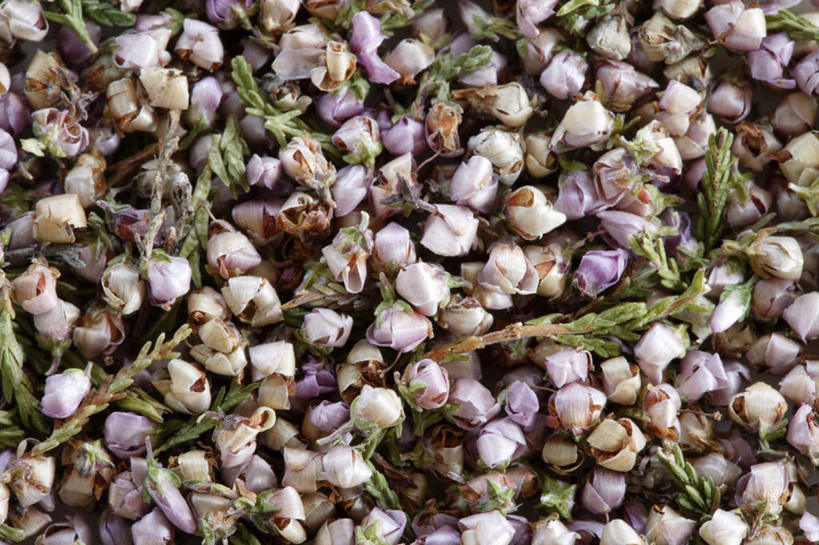 无人,横图,俯视,室内,特写,白天,茶,盛开,茶叶,花蕾,花,花瓣,花朵,鲜花,花茶,花苞,花蕊,摄影,影棚,花草茶,庄重,威严,扇骨木,石南,石南花,石楠,石楠花,香花茶,香片,熏花茶,孤独,彩图,高角度拍摄,影棚拍摄,拍摄