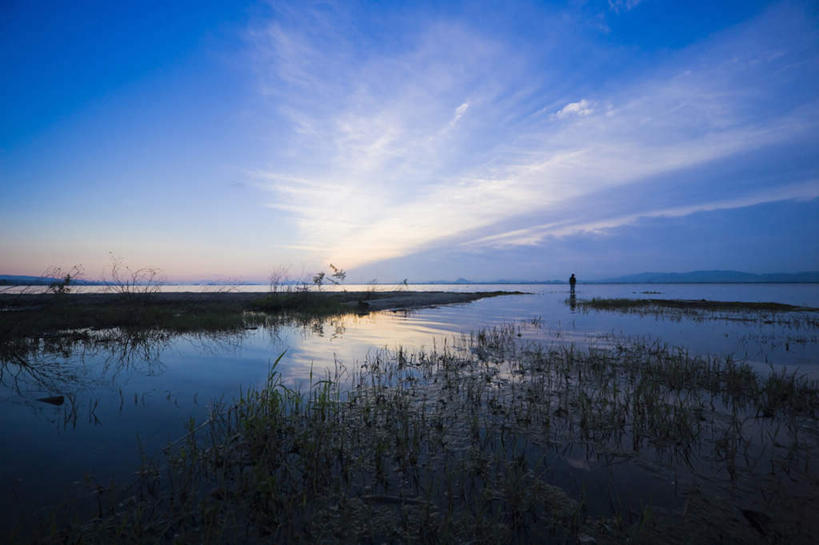 无人,横图,室外,白天,正面,旅游,度假,湖,湖泊,美景,水,植物,叶子,日本,亚洲,阴影,光线,影子,湖面,景观,水流,水面,云,云朵,水草,绿叶,云彩,娱乐,蓝色,白云,倒影,蓝天,天空,阳光,自然,湖水,天,享受,休闲,嫩叶,景色,放松,生长,成长,自然风光,东亚,本州,本州岛,日本国,近畿地方,近畿,滋贺,滋贺县,琵琶湖,叶,叶片,彩图