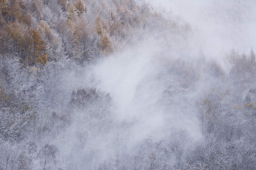 无人,横图,俯视,室外,白天,旅游,度假,美景,树林,雪,植物,雾,大雪,长野县,日本,亚洲,覆盖,朦胧,模糊,积雪,景观,雪景,冬季,冬天,娱乐,树,树木,绿色,自然,包围,享受,休闲,景色,放松,寒冷,生长,成长,迷雾,自然风光,东亚,本州,本州岛,日本国,中部地方,长野,严寒,笼罩,大雾,彩图,高角度拍摄
