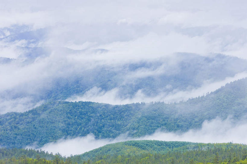 无人,横图,俯视,航拍,室外,白天,旅游,度假,美景,森林,山,山脉,树林,植物,雾,长野县,日本,亚洲,覆盖,阴影,朦胧,模糊,光线,影子,景观,山峰,山峦,娱乐,树,树木,绿色,阳光,自然,群山,包围,享受,休闲,景色,放松,生长,成长,迷雾,鸟瞰,自然风光,东亚,本州,本州岛,日本国,中部地方,长野,笼罩,大雾,彩图,高角度拍摄
